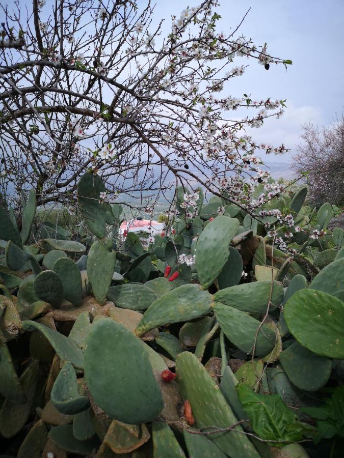 Willa Casa Opuntia Pappaygiannades Zewnętrze zdjęcie